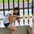 “华西”小青新
