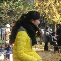 风光无限
