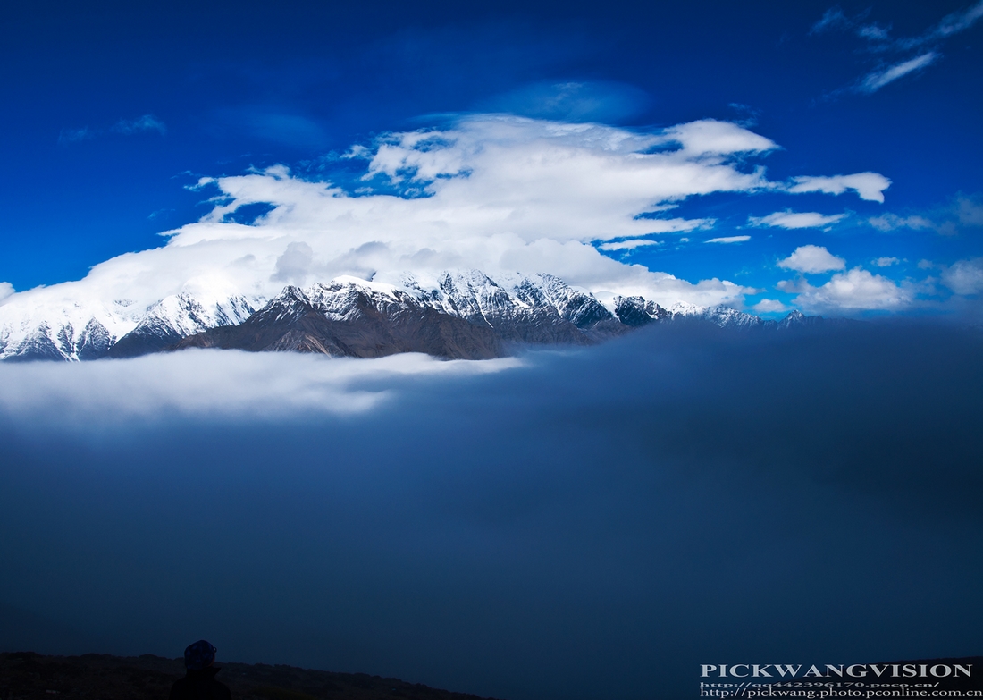 DSC_2198-1.jpg