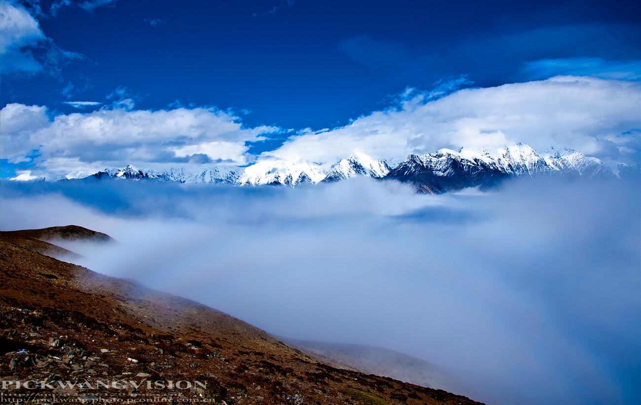 DSC_2216-1.jpg
