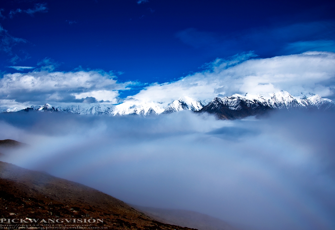 DSC_2217-1.jpg