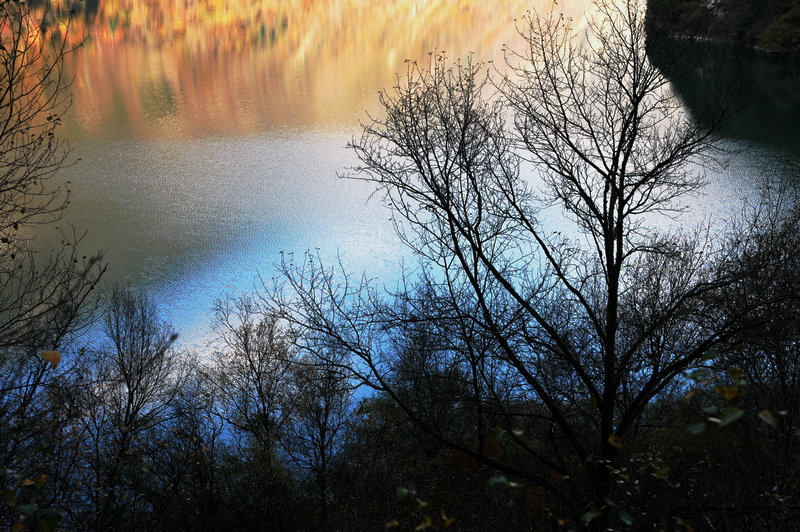 DSC_9467.jpg