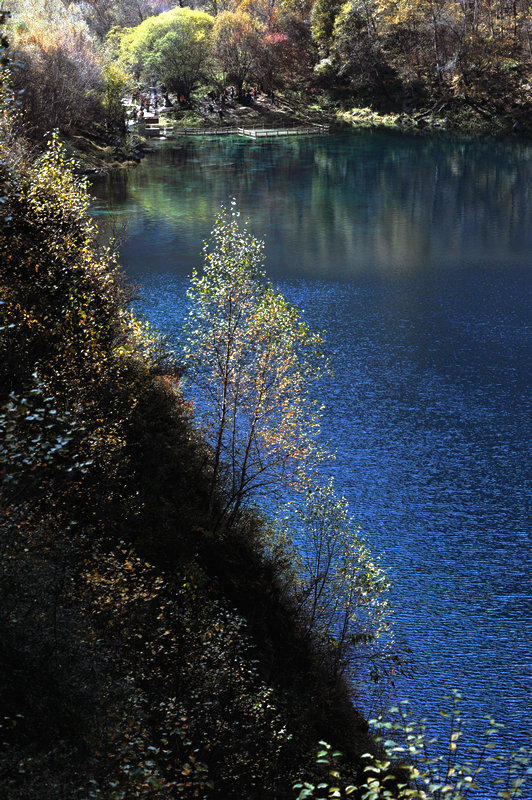 DSC_9763.jpg