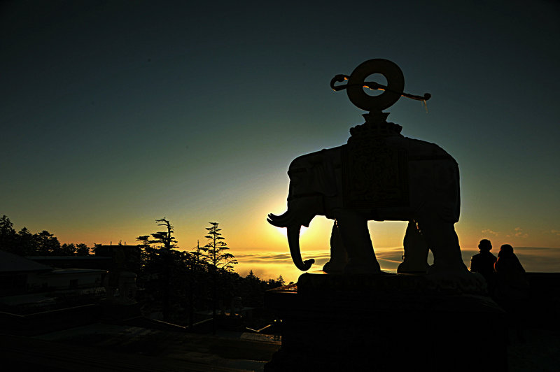DSC_3780.jpg