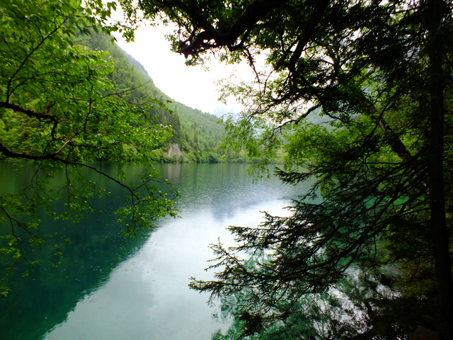 DSCF2101.JPG
