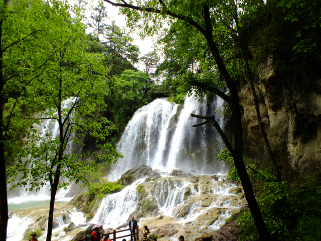 DSCF2108.JPG