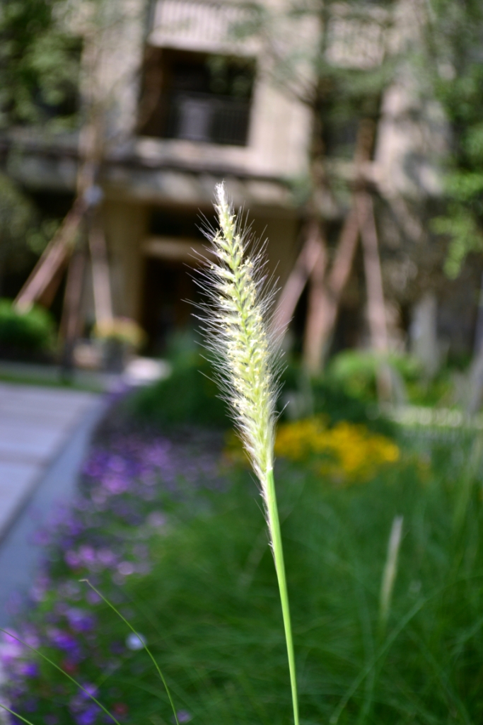 nEO_IMG_DSC_0046.jpg