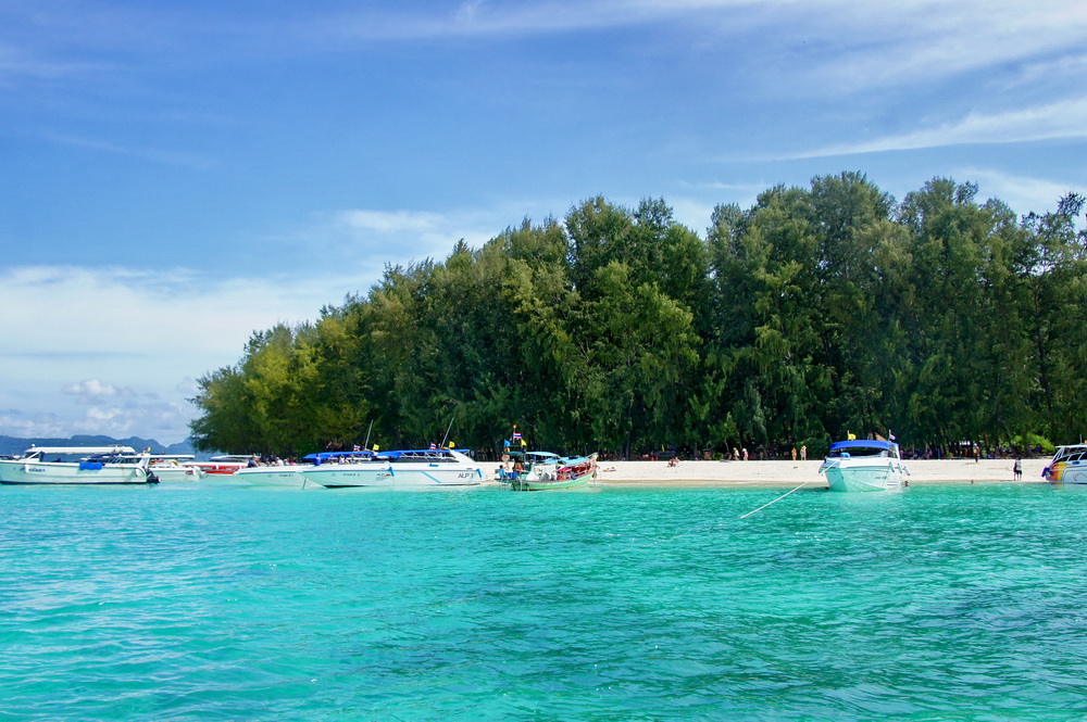 DSC07884a_调整大小.jpg