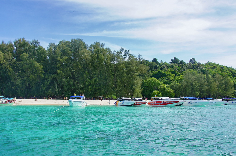 DSC07885a_调整大小.jpg