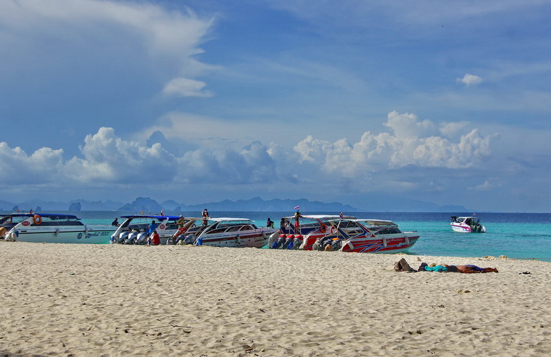 DSC07894a_调整大小_调整大小.jpg