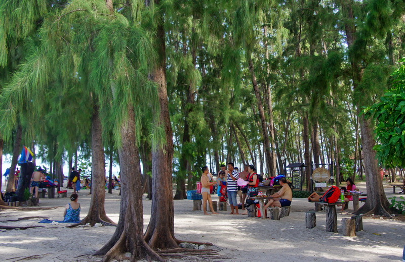 DSC07899a_调整大小_调整大小.jpg