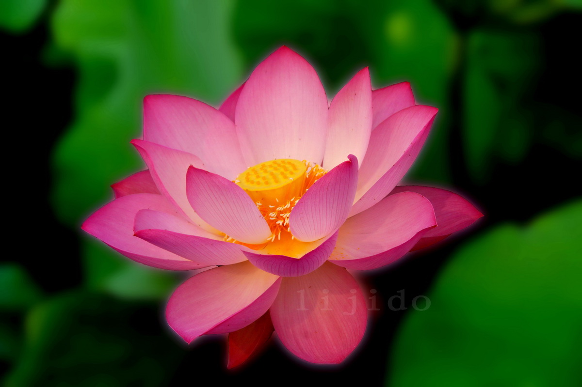 DSC04125a_调整大小.jpg