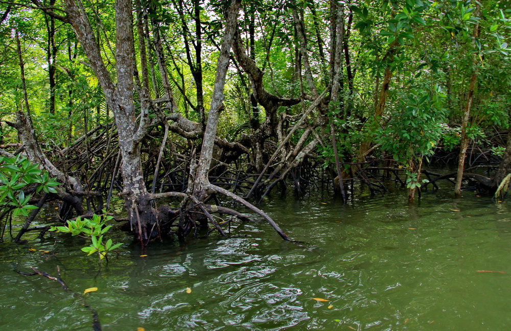 DSC06705a_调整大小.jpg